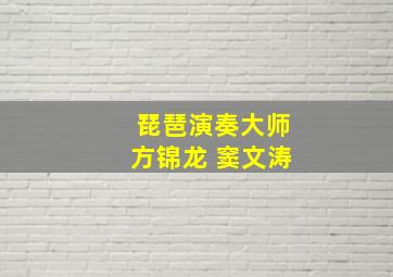 琵琶演奏大师方锦龙 窦文涛